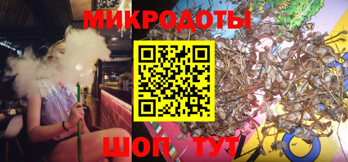 Галлюциногенные грибы прущие грибы  Вход с VPN  Ухта 